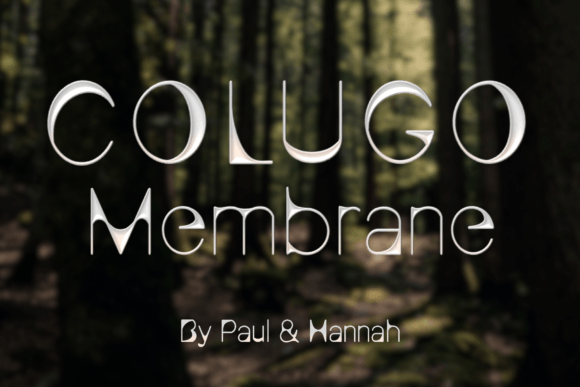 Colugo Membrane: A Display Font That Soars in Digital Campaigns