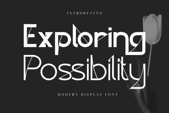 Exploring Possibility: A Luxurious Font for Elegant Branding