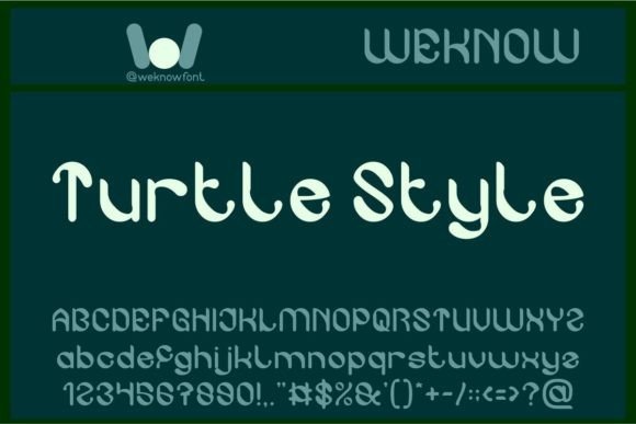 Turtle Style: Honest Thoughts from a Designer's Desk